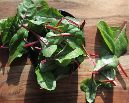fresh colorful salad ingredients on a wooden board